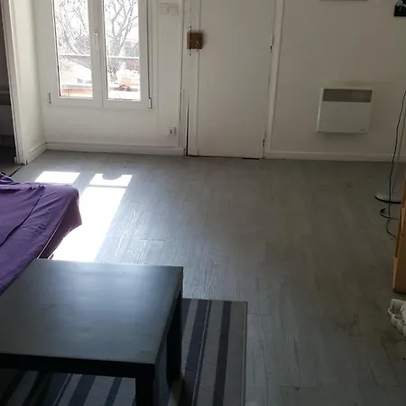 Jardins Du Louvre باريس